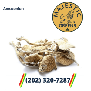 Amazonian Mushroom Strain