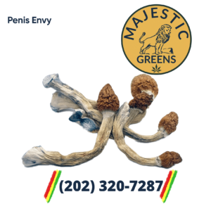 Penis Envy Mushroom